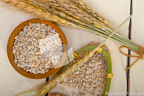 Image of organic wheat grains