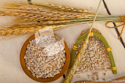 Image of organic wheat grains