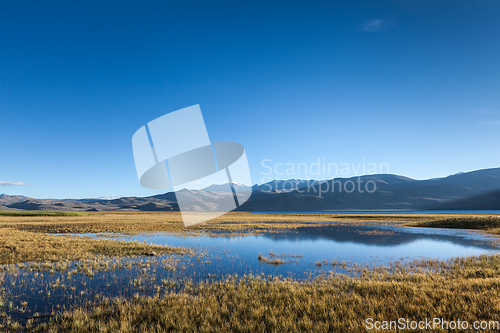 Image of Tso Moriri lake in Himalayas, Ladakh, India