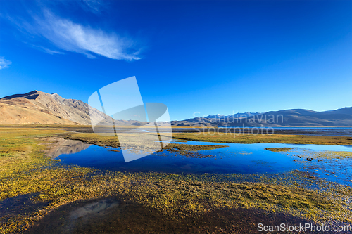 Image of Tso Moriri lake in Himalayas, Ladakh, India