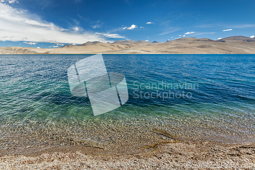 Image of Tso Moriri lake in Himalayas, Ladakh, India