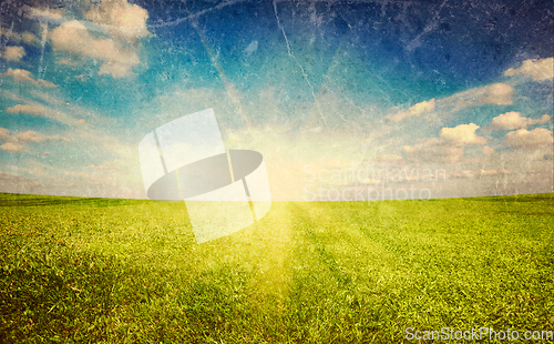 Image of Sunset sun and green grass field