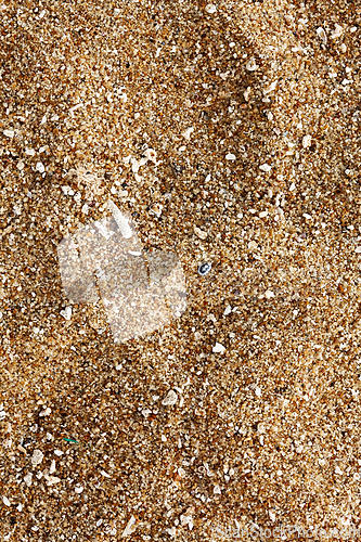 Image of Beach sand of grinded sea shells