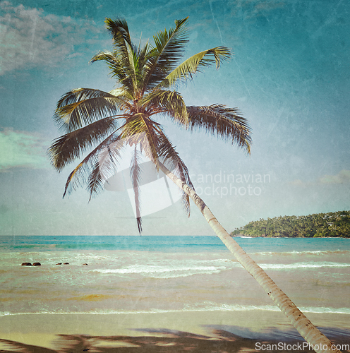 Image of Idyllic beach with palm. Sri Lanka