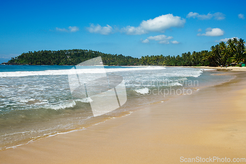 Image of Idyllic beach. Sri Lanka