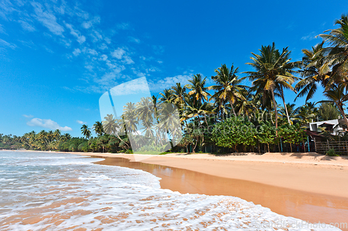 Image of Idyllic beach. Sri Lanka