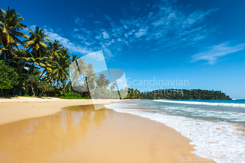 Image of Idyllic beach. Sri Lanka