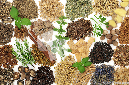 Image of Large Collection of Nervine Health Food Ingredients 