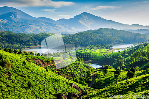 Image of Tea plantations and river in hills. Kerala, India
