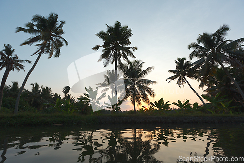 Image of Sunset on Kerala backwaters