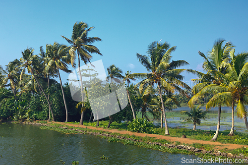 Image of Kerala backwaters