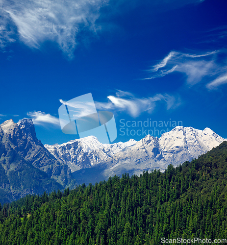 Image of Himalayas and forest. India