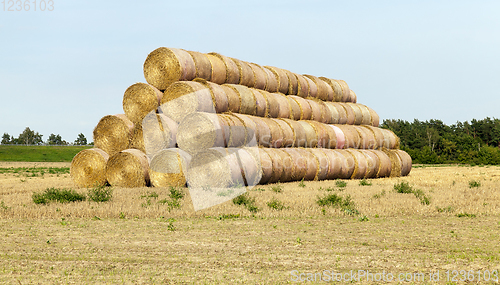 Image of cylindrical stack of straw