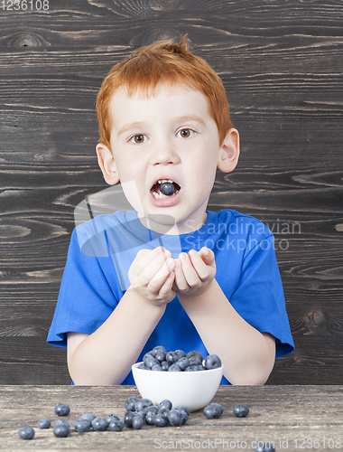 Image of blueberry dessert