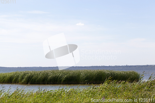 Image of deep lake with grass