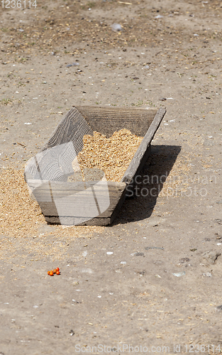 Image of old wooden trough