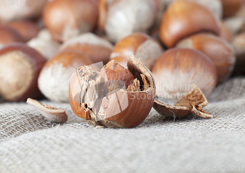 Image of brown hazelnuts
