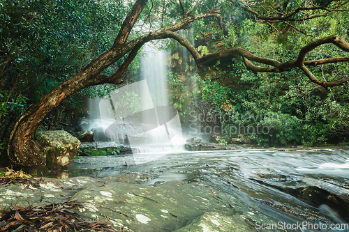 Image of Waterfall lovers paradise