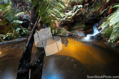 Image of Waterfall and swimming hole in Blue Mountains