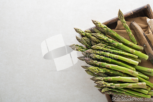 Image of Asparagus