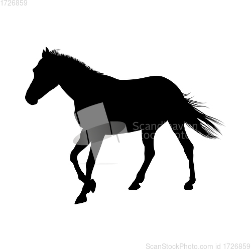 Image of Horse Silhouette