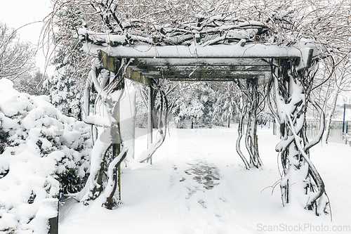 Image of Timber trellis arch covered in snow during winter