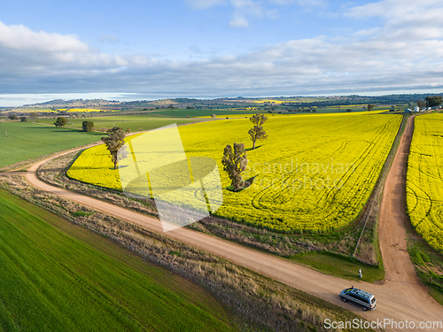 Image of Farmlands as far as the eye can see in rural NSW Australia