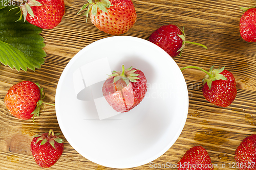 Image of strawberries and foliage