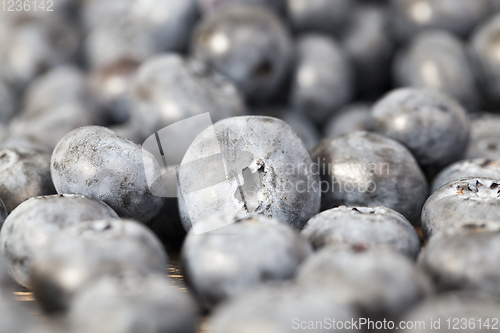 Image of ripe blueberries