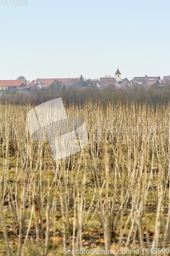 Image of Uebrigshausen in Hohenlohe