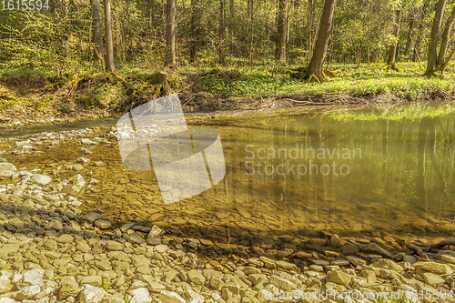 Image of waterside scenery at spring time