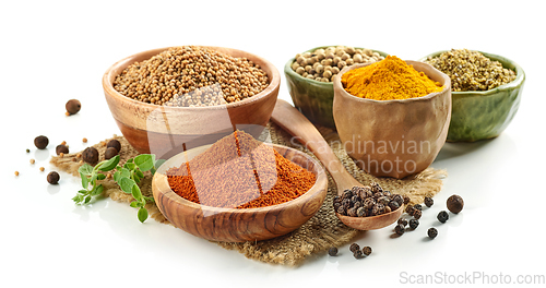 Image of various spices on white background