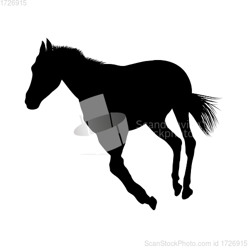 Image of Horse Silhouette