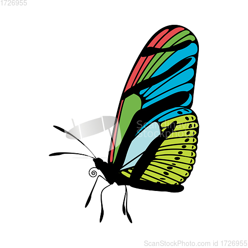 Image of Butterfly Icon