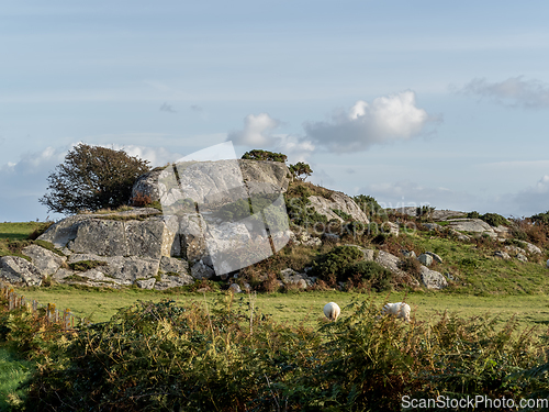 Image of Anglesey Countryside