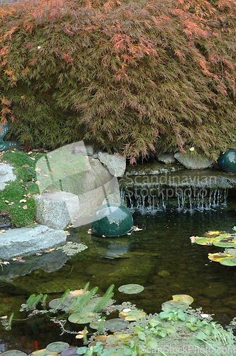 Image of Asian garden.