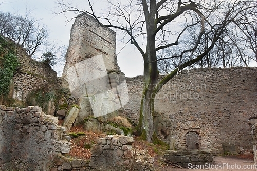 Image of Castle Bolczow courtyard