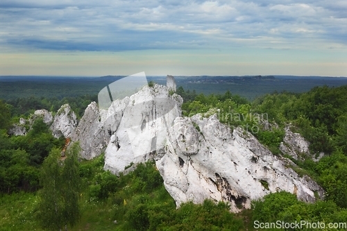 Image of Limestone rock formation at Rzedkowice, Poland