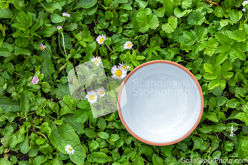 Image of empty white bowl