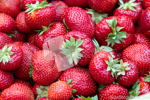 Image of fresh ripe strawberries