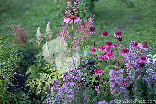 Image of beautiful flower bed