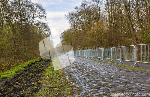 Image of Pave d'Arenberg