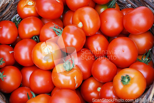Image of fresh tomatoes texture