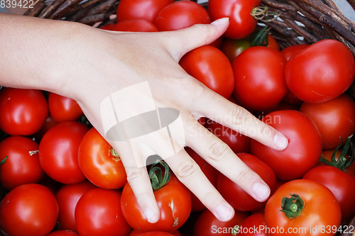 Image of fresh tomatoes texture