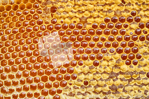 Image of honeycomb with honey