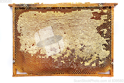 Image of honeycomb frame isolated