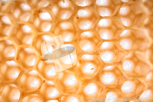 Image of honey combs background