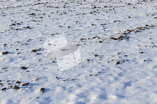 Image of snow-covered land