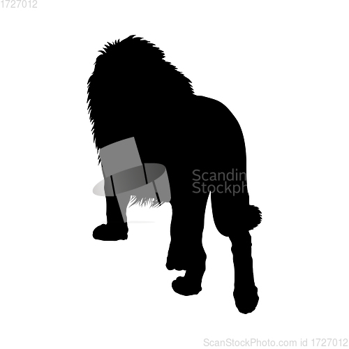 Image of Lion Silhouette