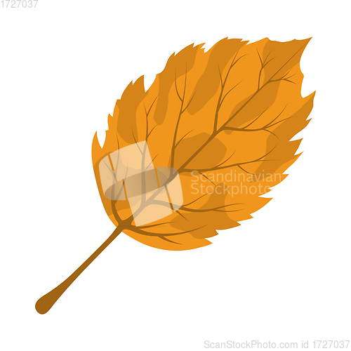 Image of Autumn Birch Leaf
